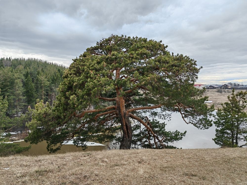 Photograph by Чкареули Светлана