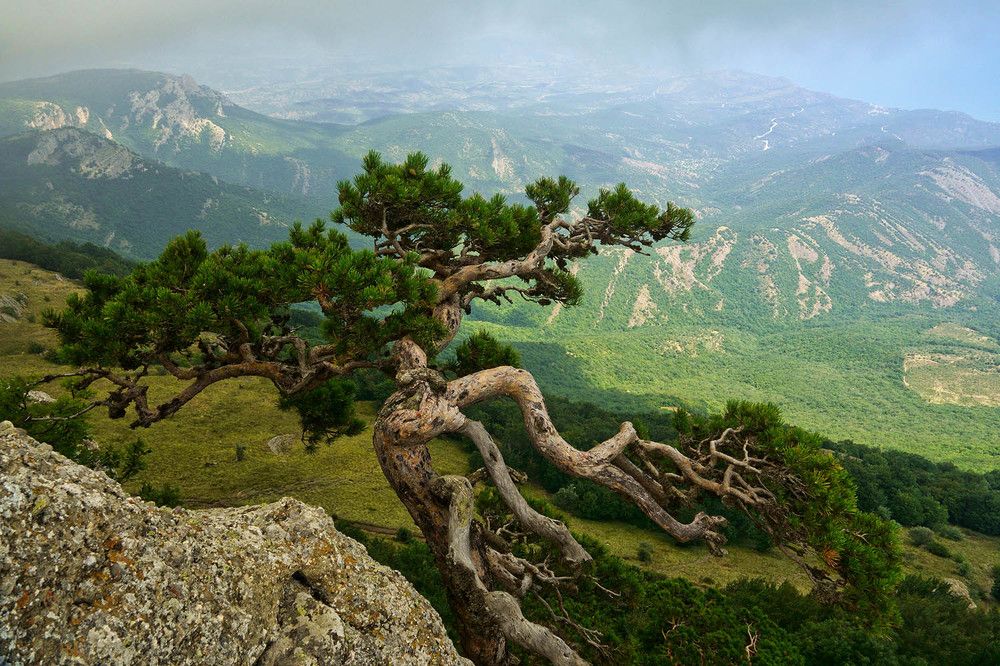 Photograph by Михаил Баевский