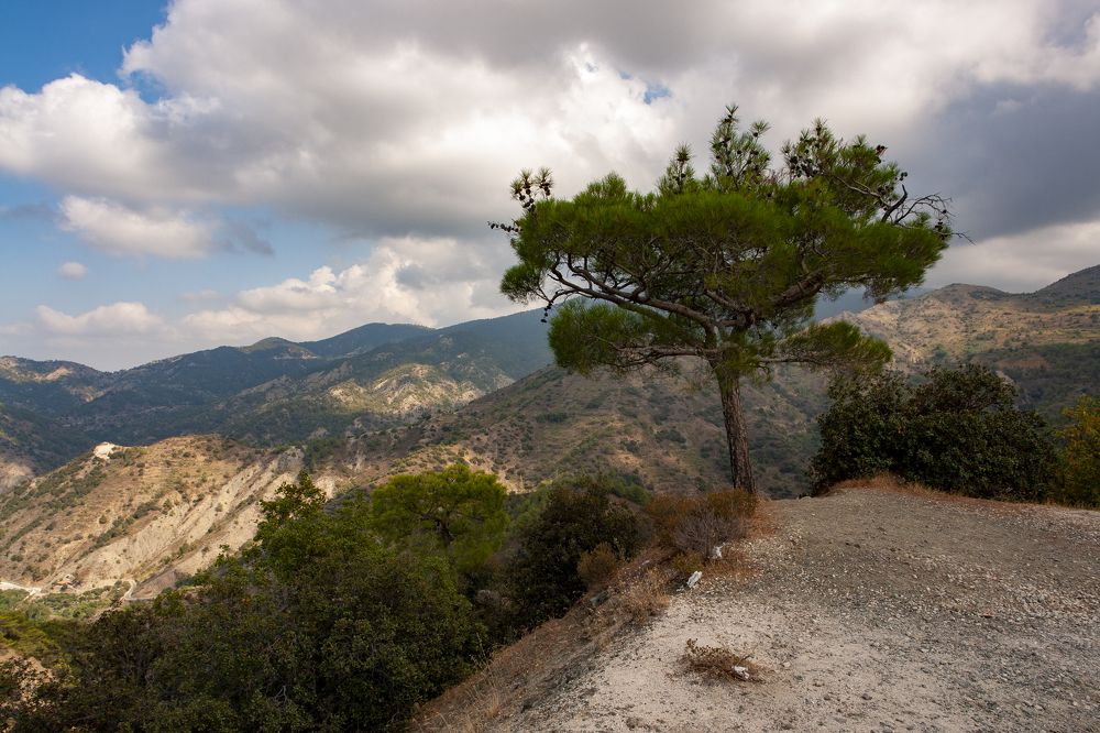 Photograph by Павел Седиков