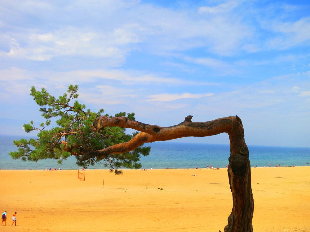 Photograph by София Гавриловна Вотякова