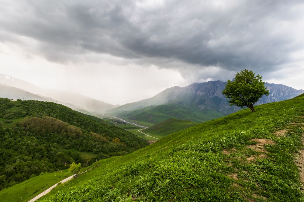 Photograph by Александр Кузнецов