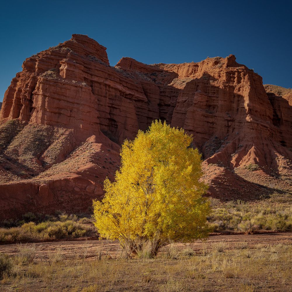Photograph by Gennadii Zakirov