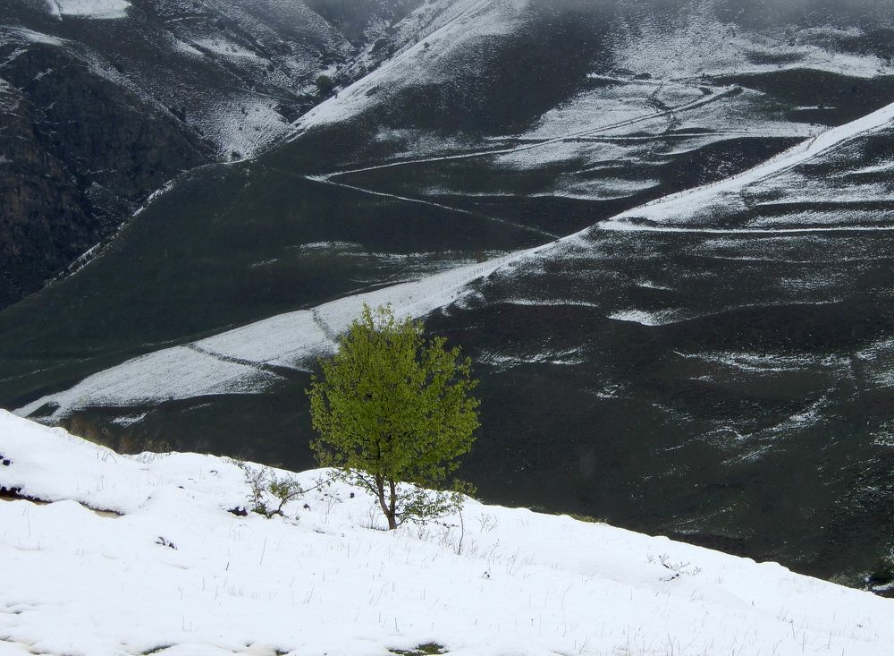 Photograph by София Гавриловна Вотякова