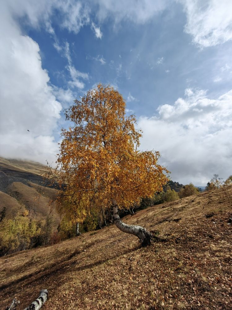 Photograph by Чкареули Светлана