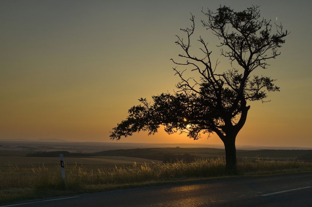 Photograph by Milan Cernak