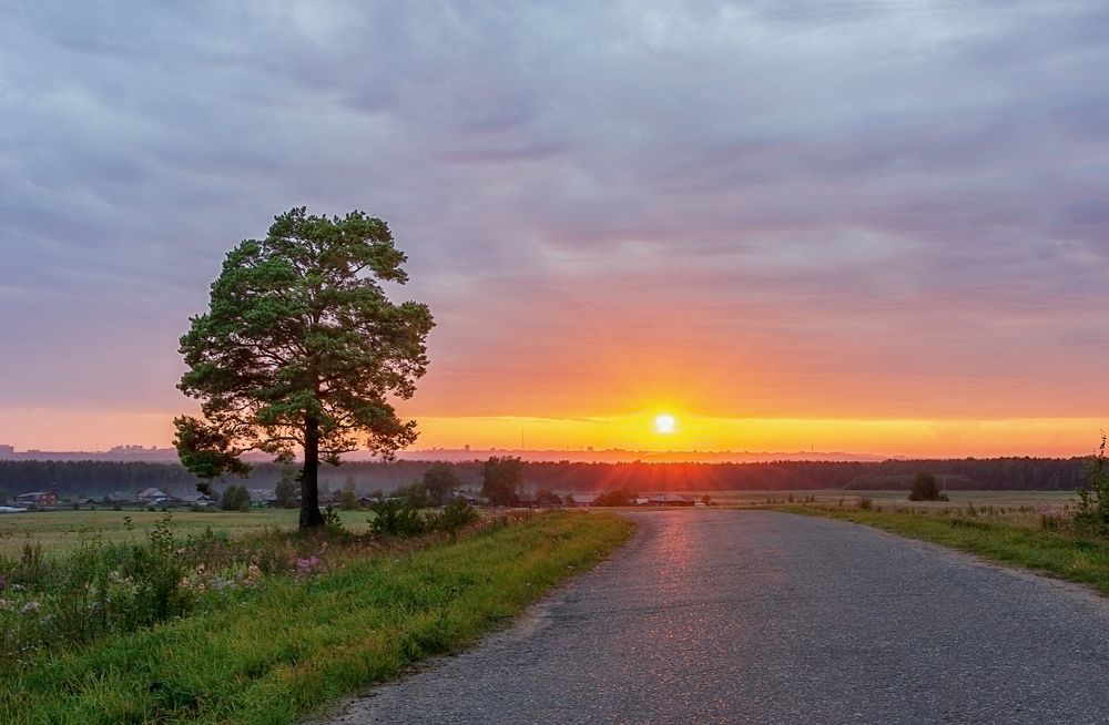 Photograph by Светлана Ващенко