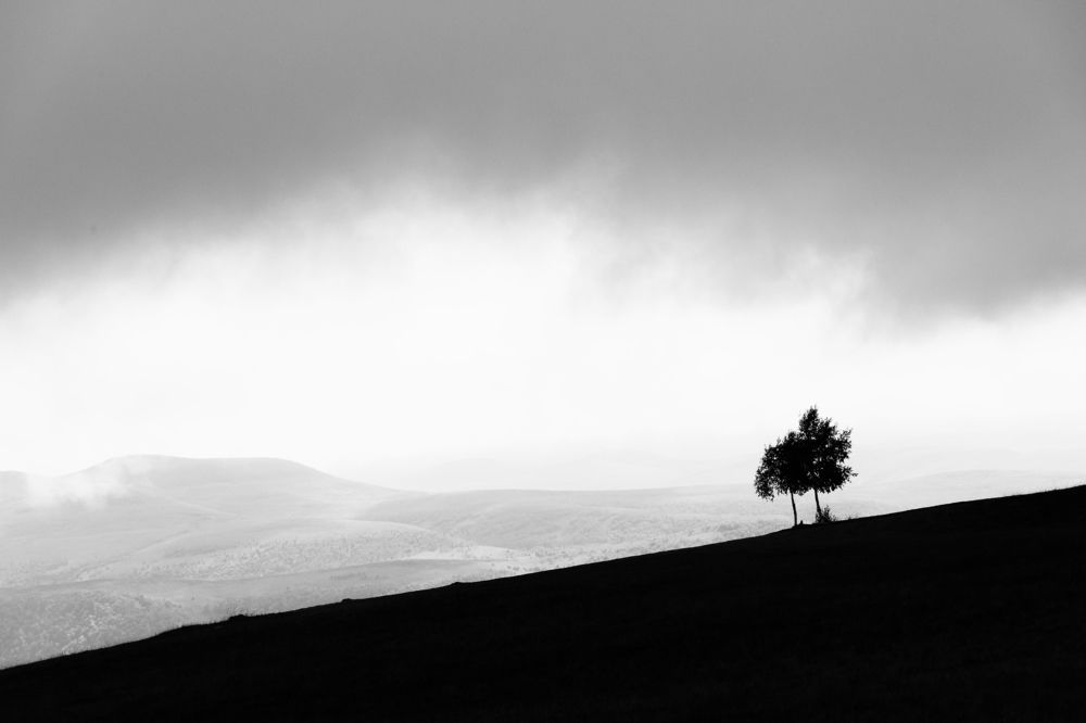 Photograph by Роман Колодяжный