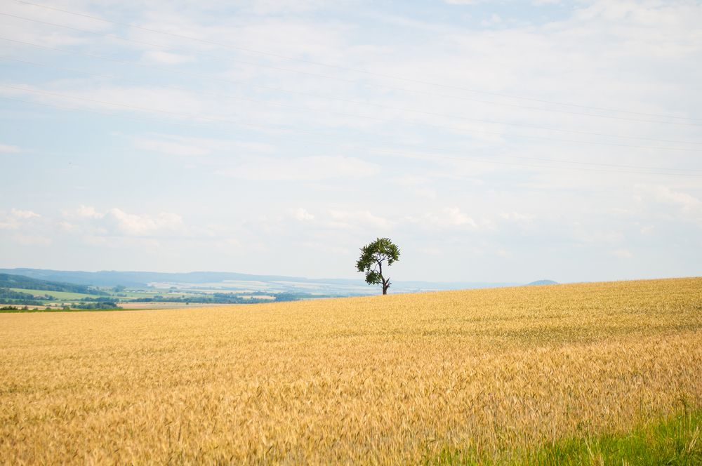 Photograph by Анастасия
