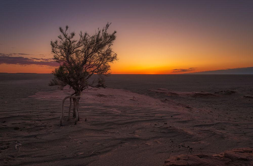 Photograph by Gennadii Zakirov