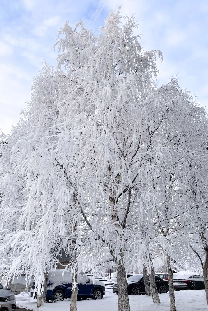 Photograph by Валентина Ивашова