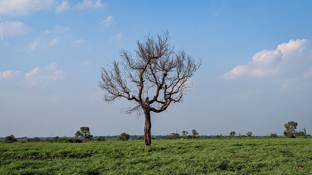 Photograph by Vijayakumar