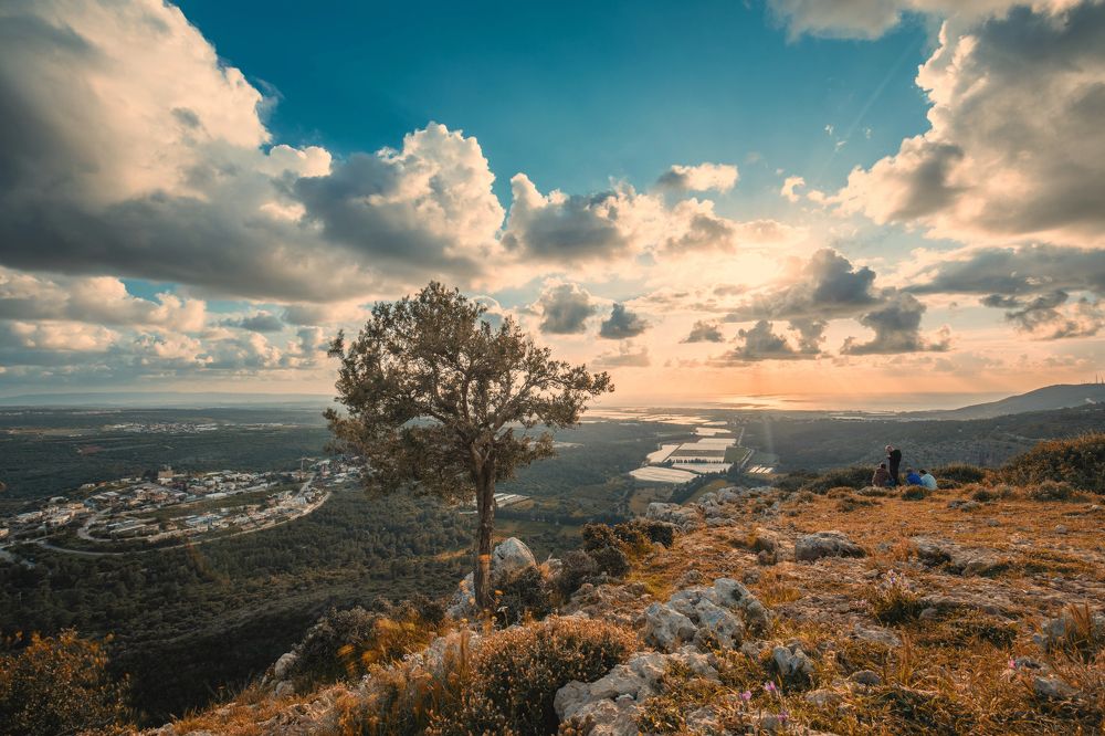 Фотография автора Dmitry Shterenberg