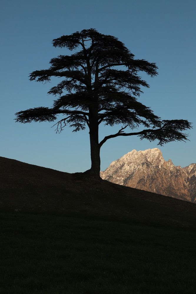 Photograph by Mukerrem Kurtoglu