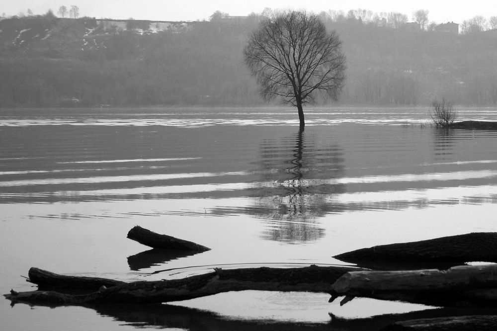 Photograph by Ирина Архипова