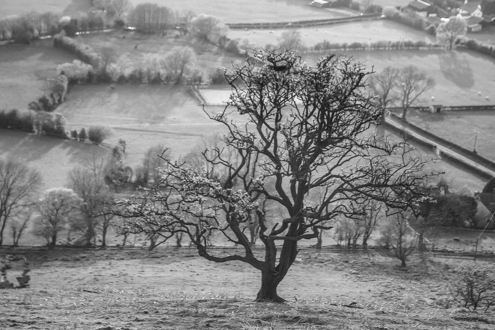 Photograph by Ирина Архипова