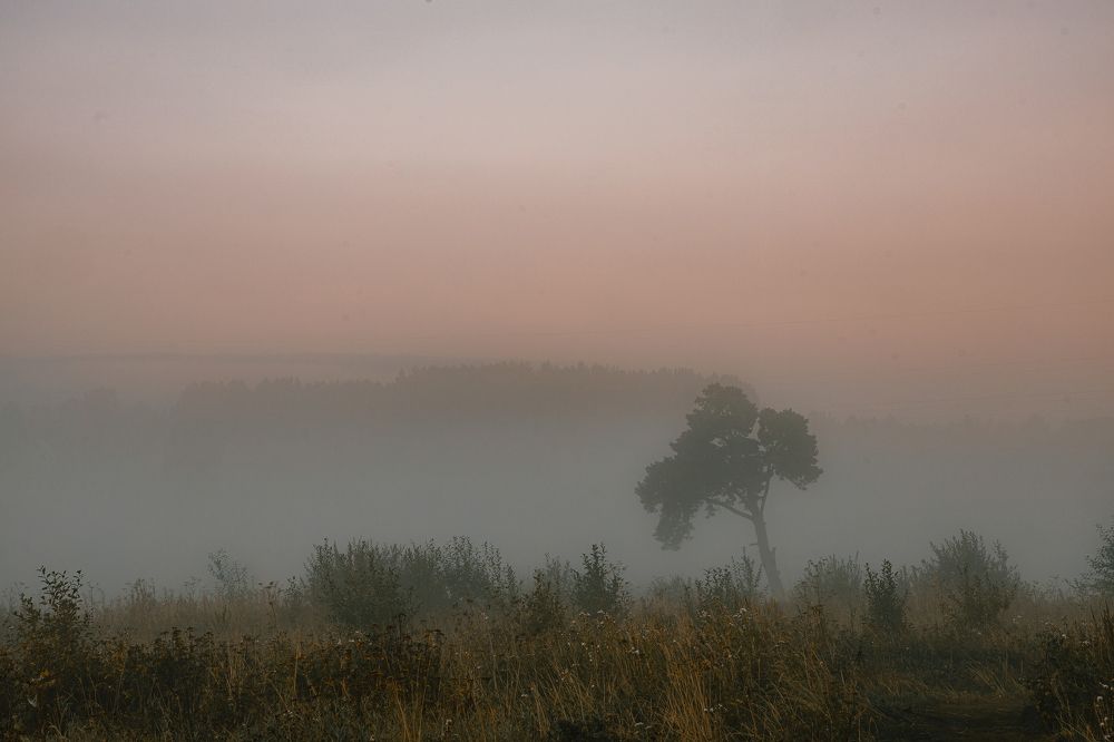 Photograph by Дмитрий Бровко