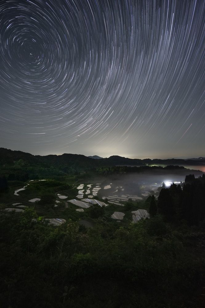 Photograph by NAGUMO SHUTO