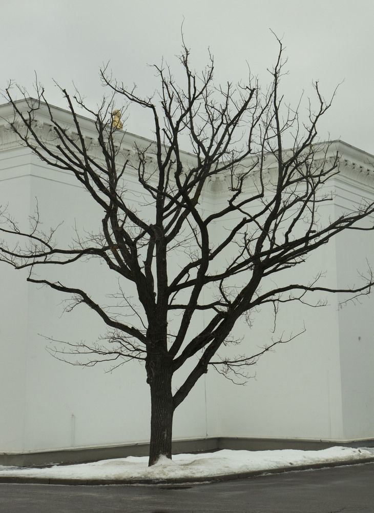 Photograph by владимир Заворотный