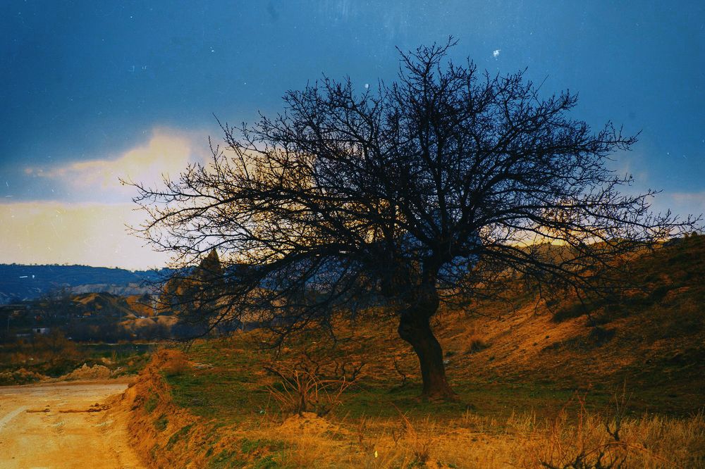 Photograph by DAMOUN POURNEMATI