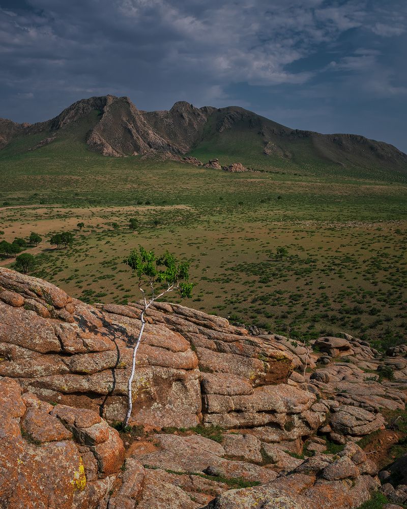 Photograph by Gennadii Zakirov