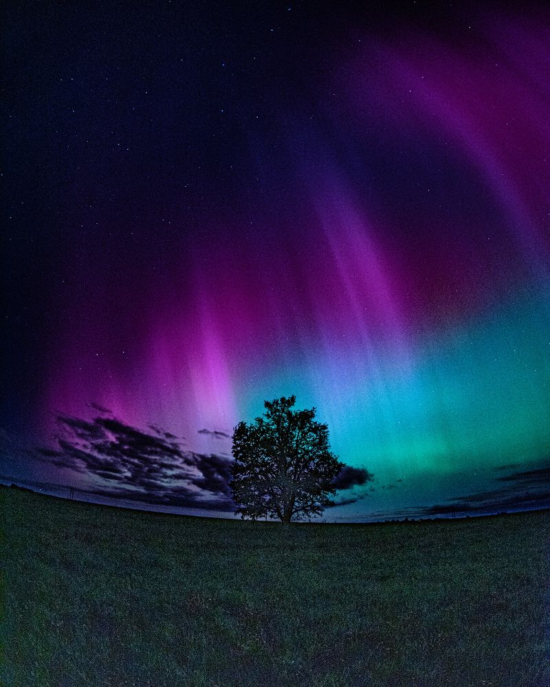 Photograph by Sergei Kulagin