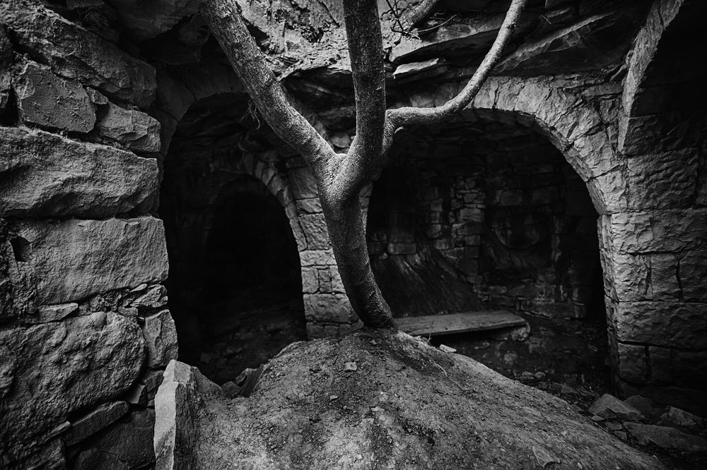 Фотография автора Павел Мартюшев