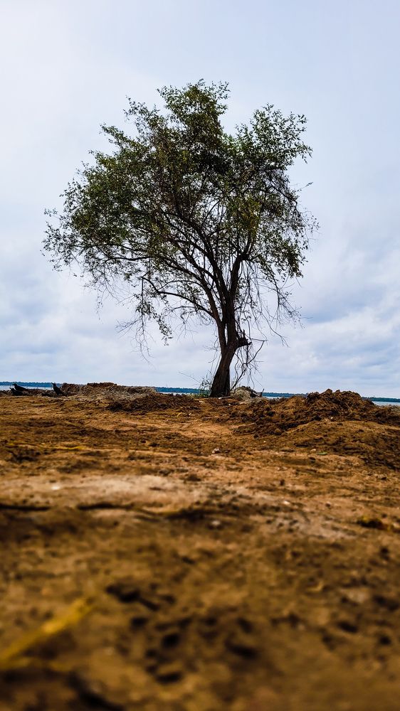 Photograph by Amal Madhu