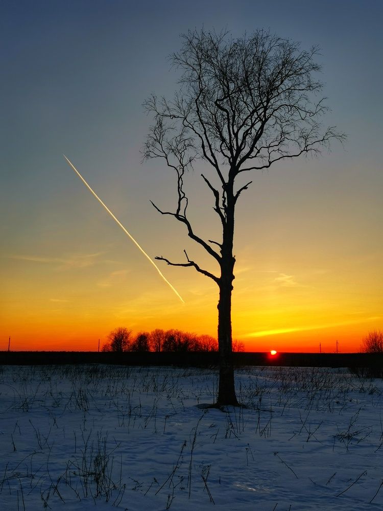Фотография автора Андрей Шестаков