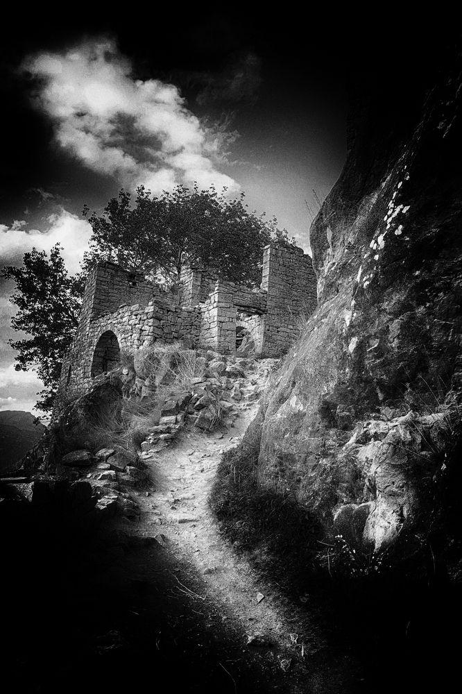 Фотография автора Павел Мартюшев