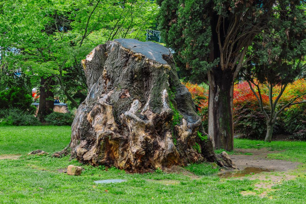 Photograph by Дмитрий Бровко