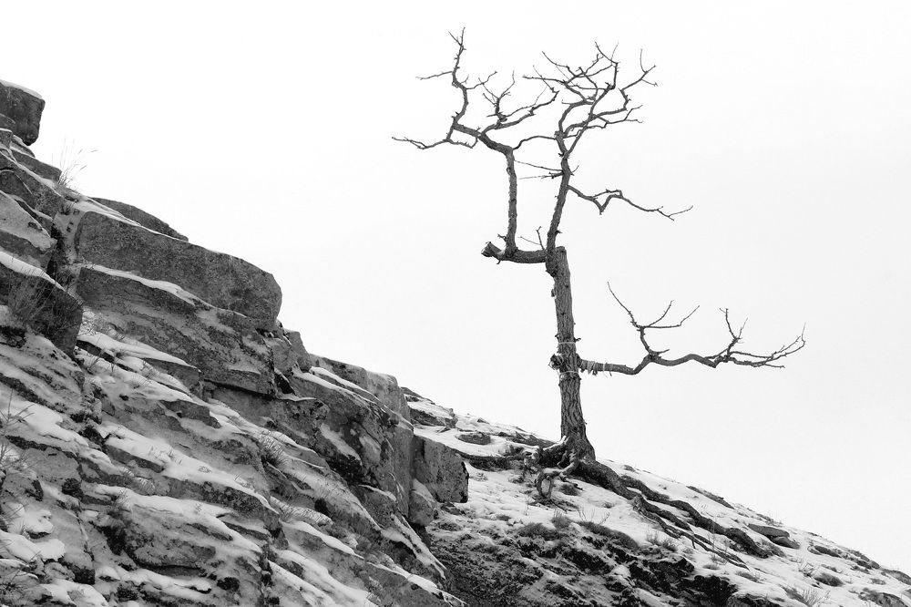 Фотография автора Колосова Елена