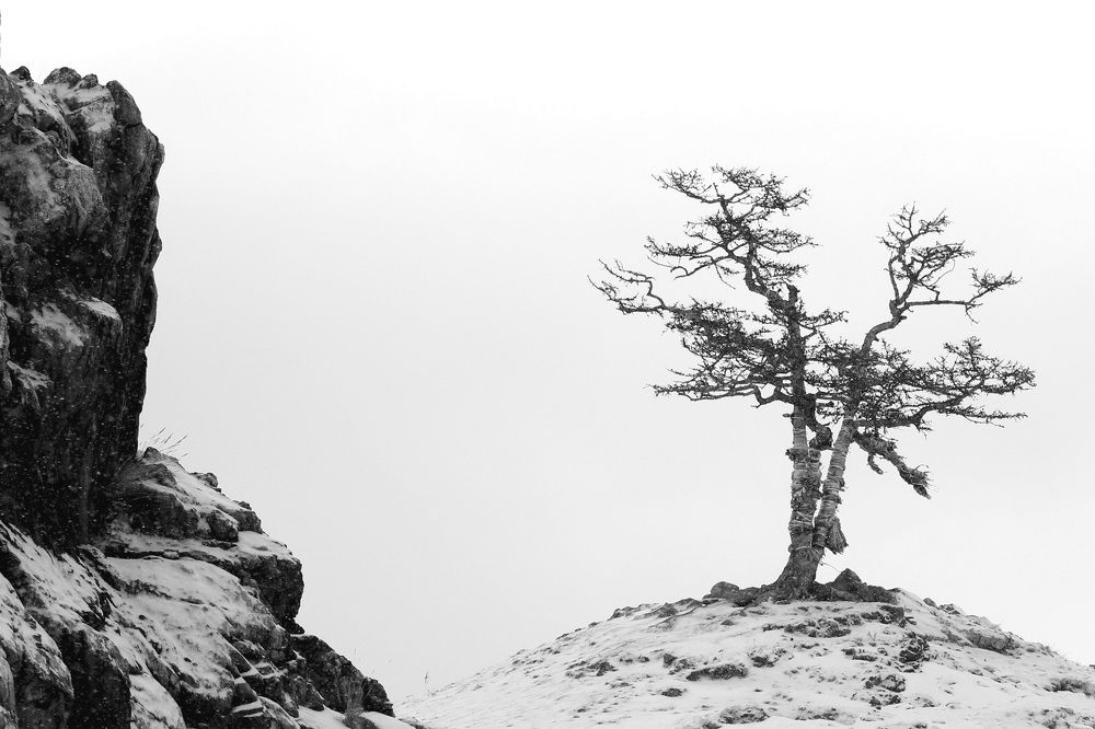 Фотография автора Колосова Елена