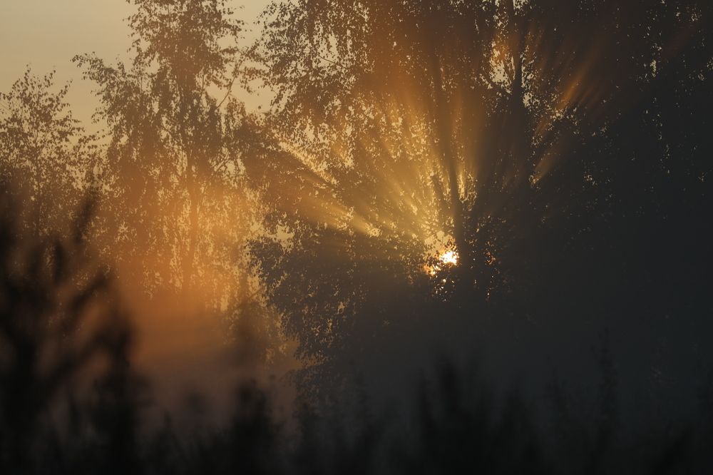 Фотография автора Колосова Елена