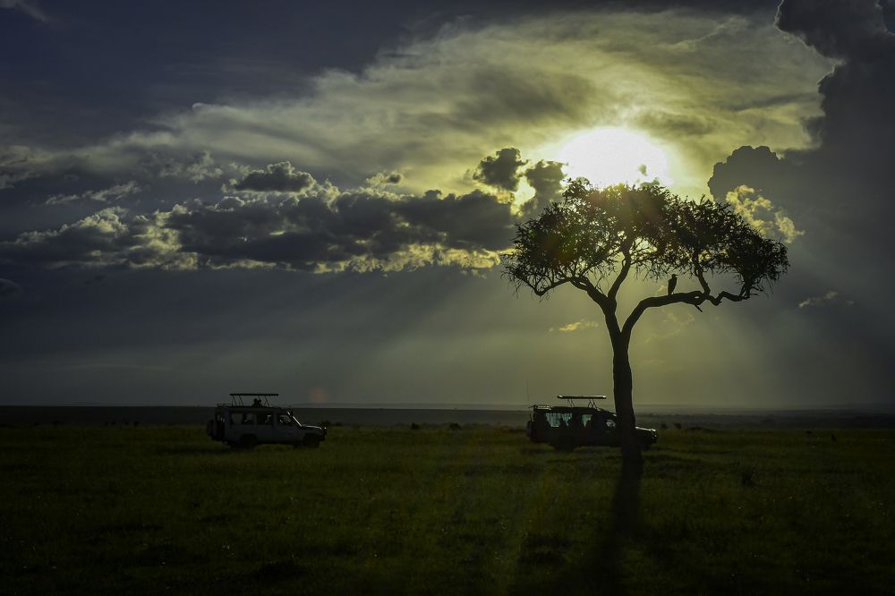 Photograph by Sathiish Rao P.