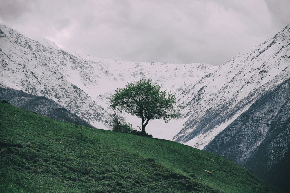 Фотография автора Павел Мартюшев