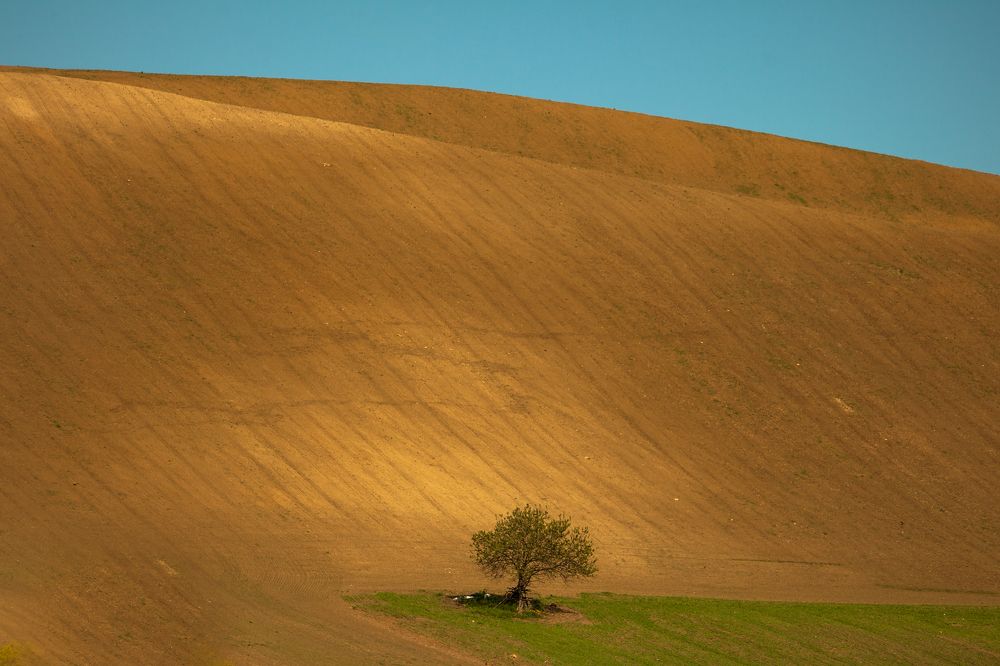 Jarná atmosféra
