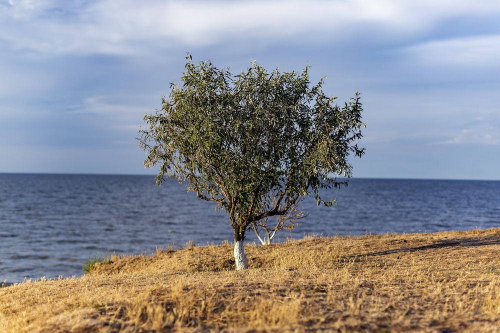 Photograph by Александр Карпенко