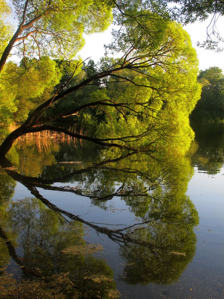 Photograph by Анастасия Пухова