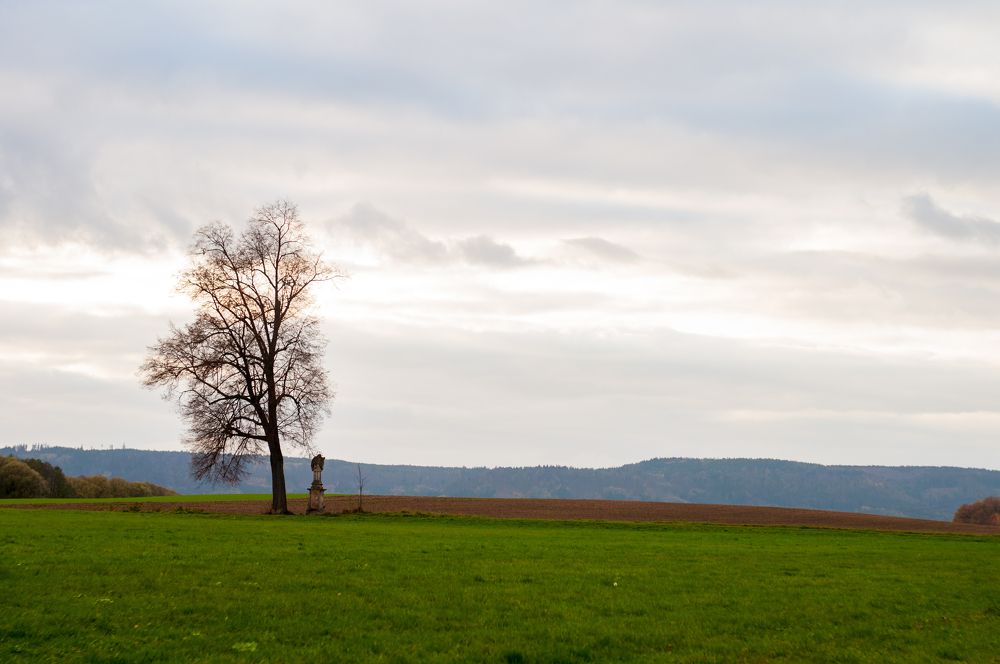 Photograph by Анастасия