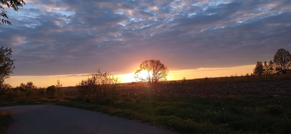 Photograph by Евгения Семёнова