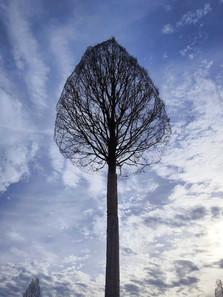 Photograph by Natalya Vasilenko