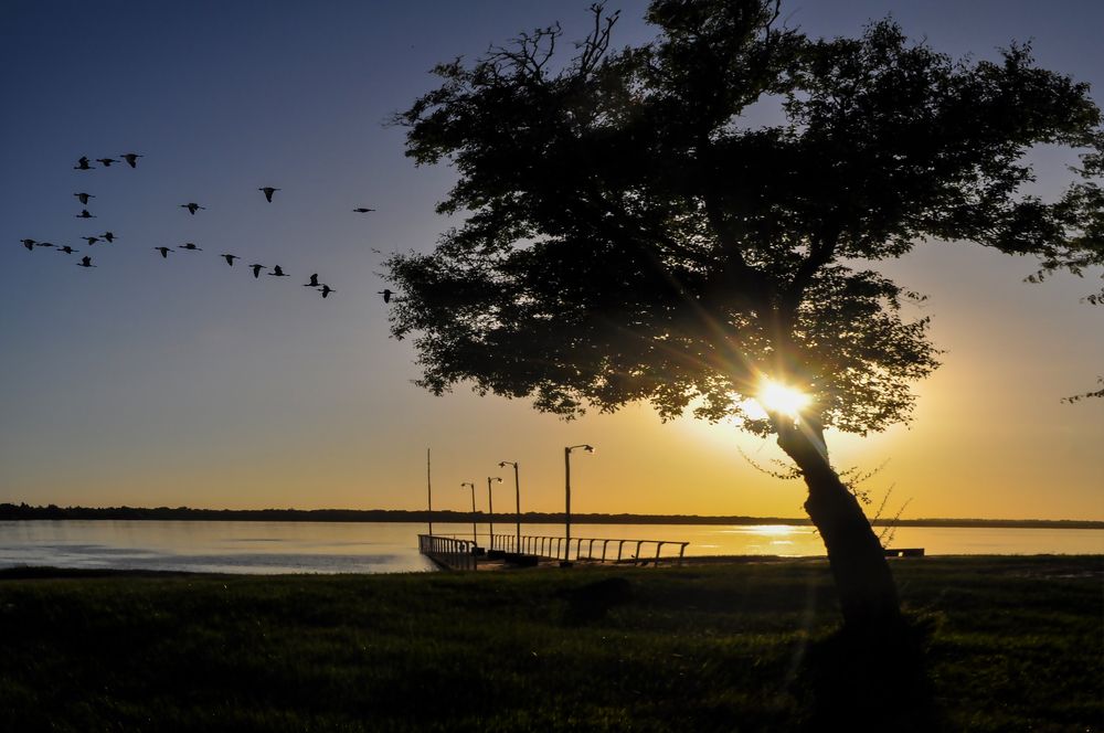 Фотография автора Ricardo Kimmich