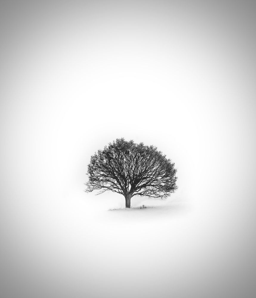 Photograph by Karim Bouchareb