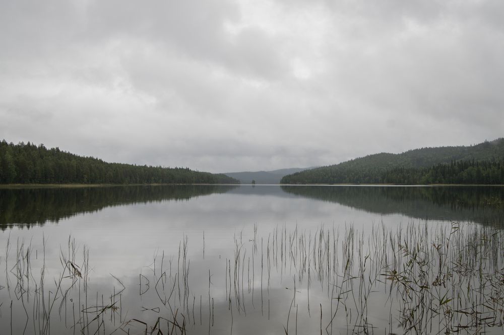 Photograph by Svetlana