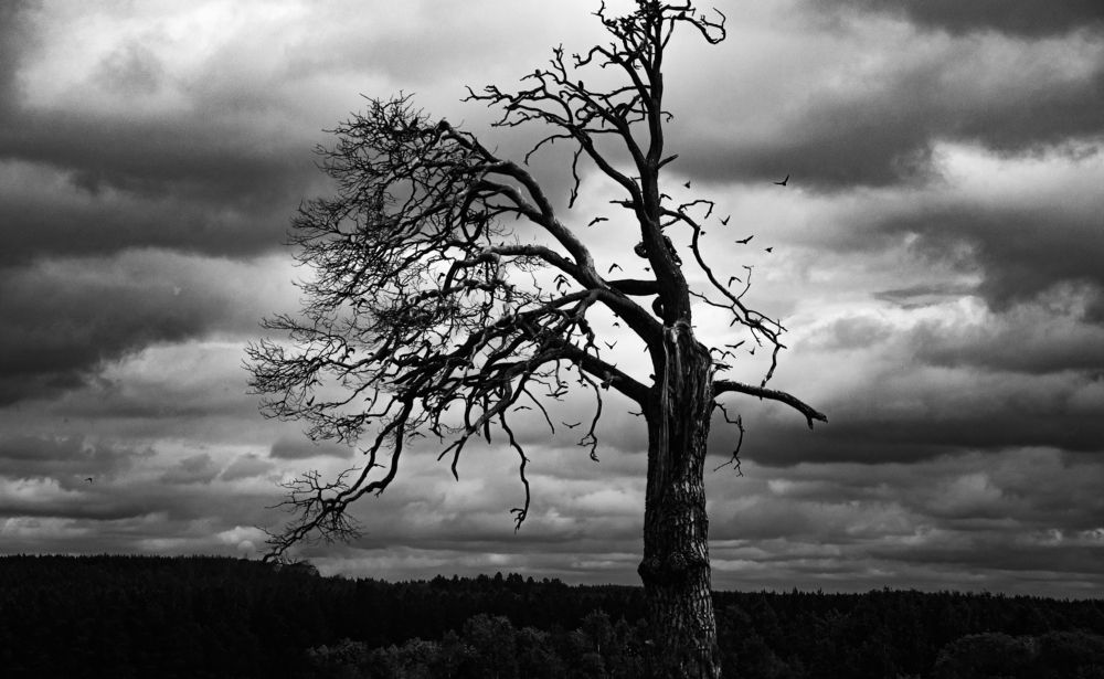 Photograph by Александр Силинский