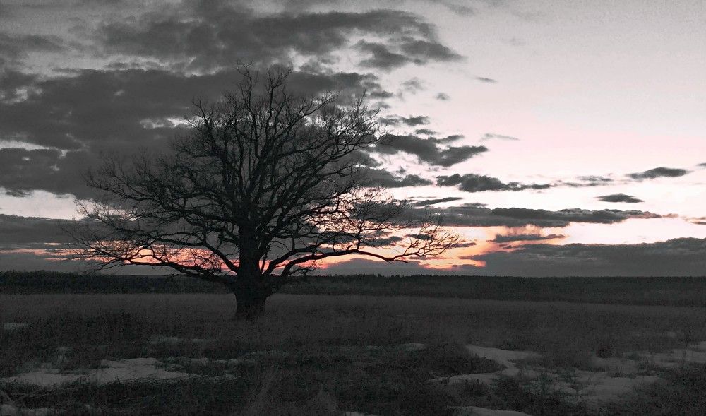 Фотография автора Марина Горбулина