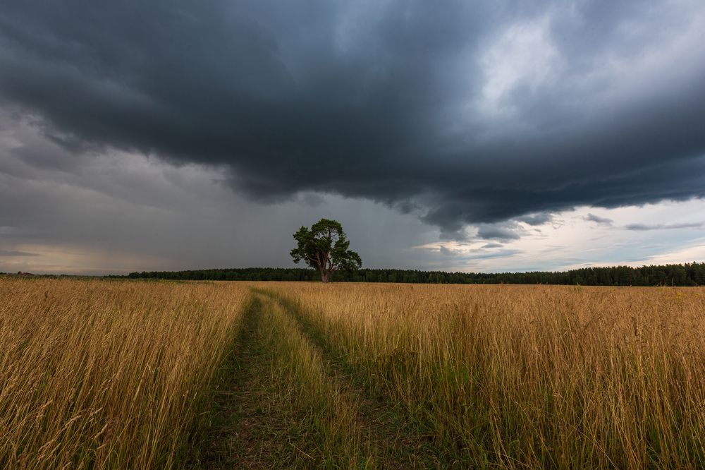 Photograph by Александр Литвинов