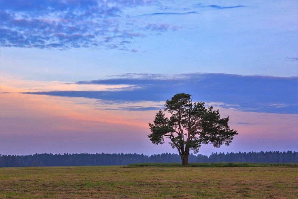 Photograph by Александр Литвинов