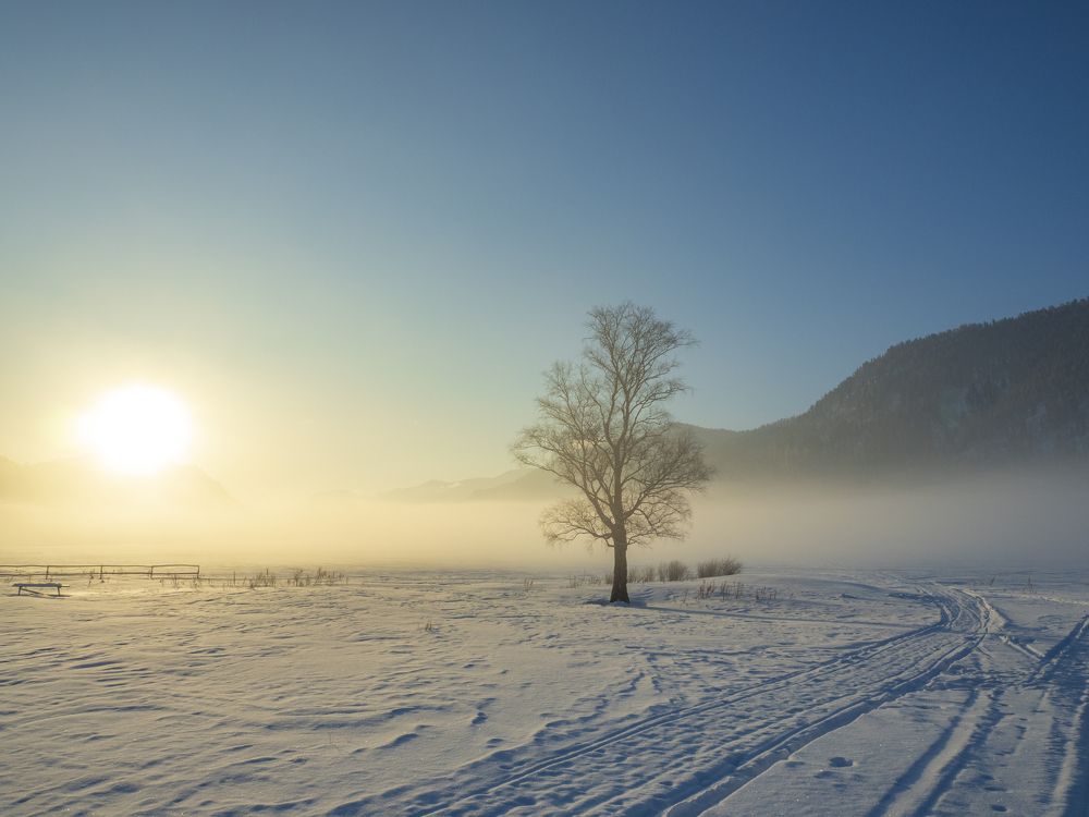 Photograph by Надежда Михайлина