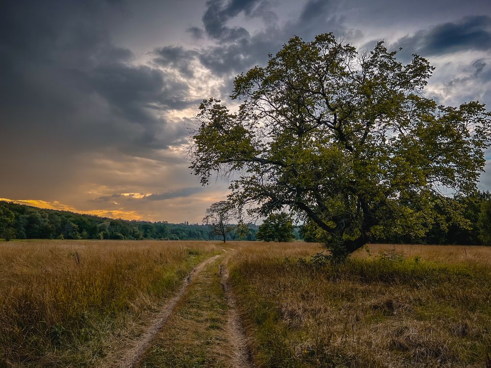 Photograph by Марина